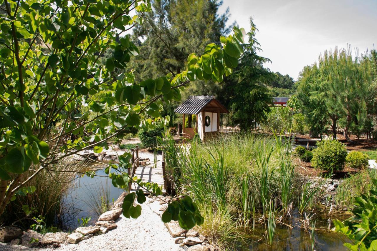 Quinta Japonesa Bed & Breakfast Carvalhal Bemfeito Ngoại thất bức ảnh